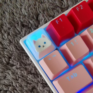 OEM keycap แมวขาวตาฟ้า