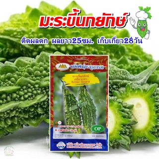 เมล็ดมะระขี้นกยักษ์ เหยี่ยวเวหา Bitter Gourd เมล็ดพันธุ์มะระขี้นก เมล็ดมะระขี้นก เมล็ดผักสวนครัว ตราภูเขาทอง