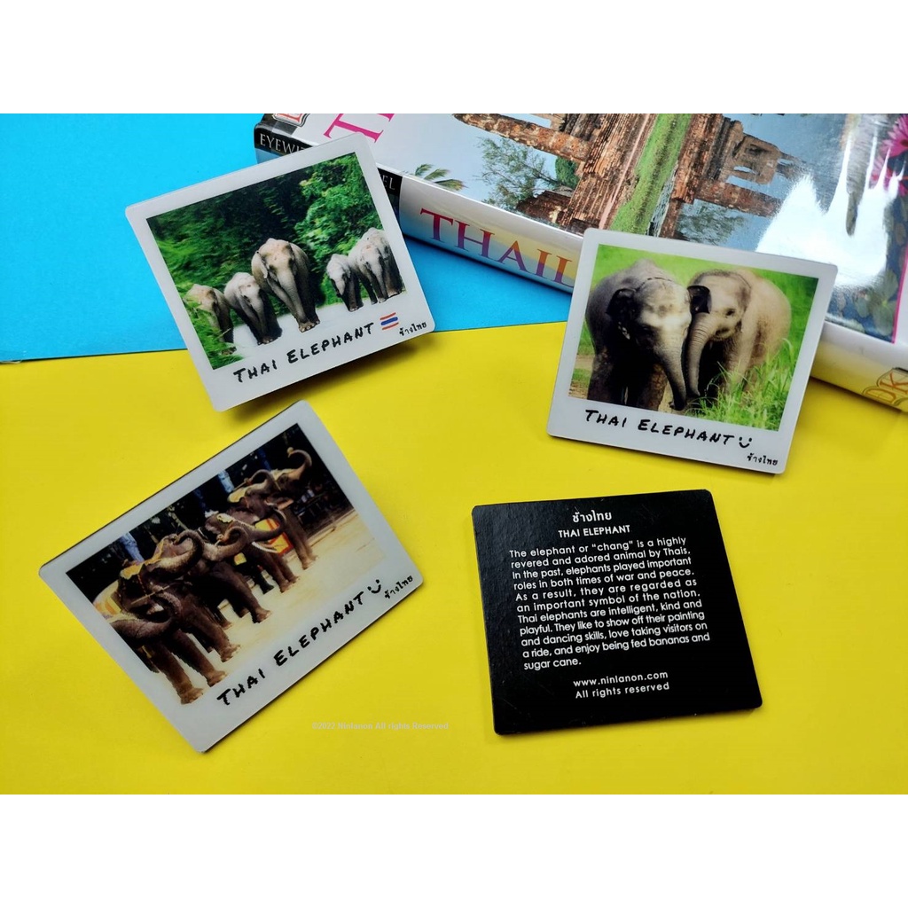 Fridgem แม่เหล็กติดตู้เย็นที่ระลึก/ Fridge magnet/冰箱贴/ 冷蔵庫用マグネット/냉장고 자석