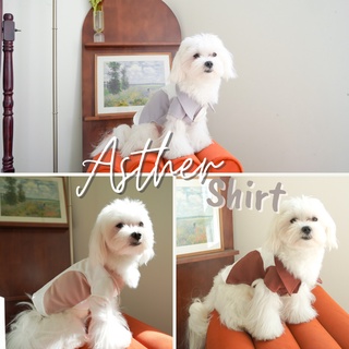 เสื้อเชิ้ตหมา เเละเเมว MOONIES PET005: Asther Pet Shirt