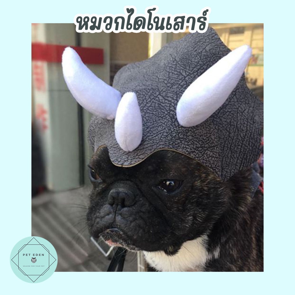 หมวกไดโนเสาร์ หมา สุนัข หมวกเฟรนบลูด๊อก ไทรเซราท๊อป Pet Hat