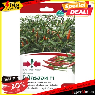 เมล็ดพันธุ์พริกขี้หนู F1 ไมโครฮอท เมล็ดพันธุ์ CHILI SEED EAST-WEST SEED MICRO HOT F1 ต้นไม้และเมล็ดพันธุ์