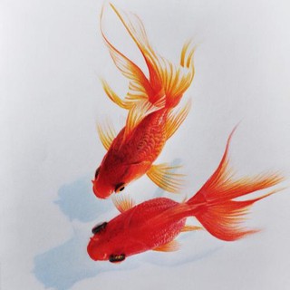 Profile kanompuiifaii8