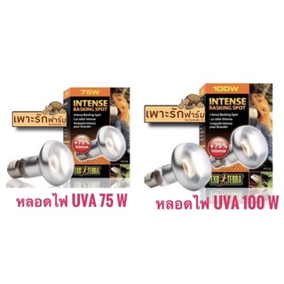 หลอดไฟ UVA สำหรับสัตว์เลื้อยคลาน เต่า กิ้งก่า Exo terra