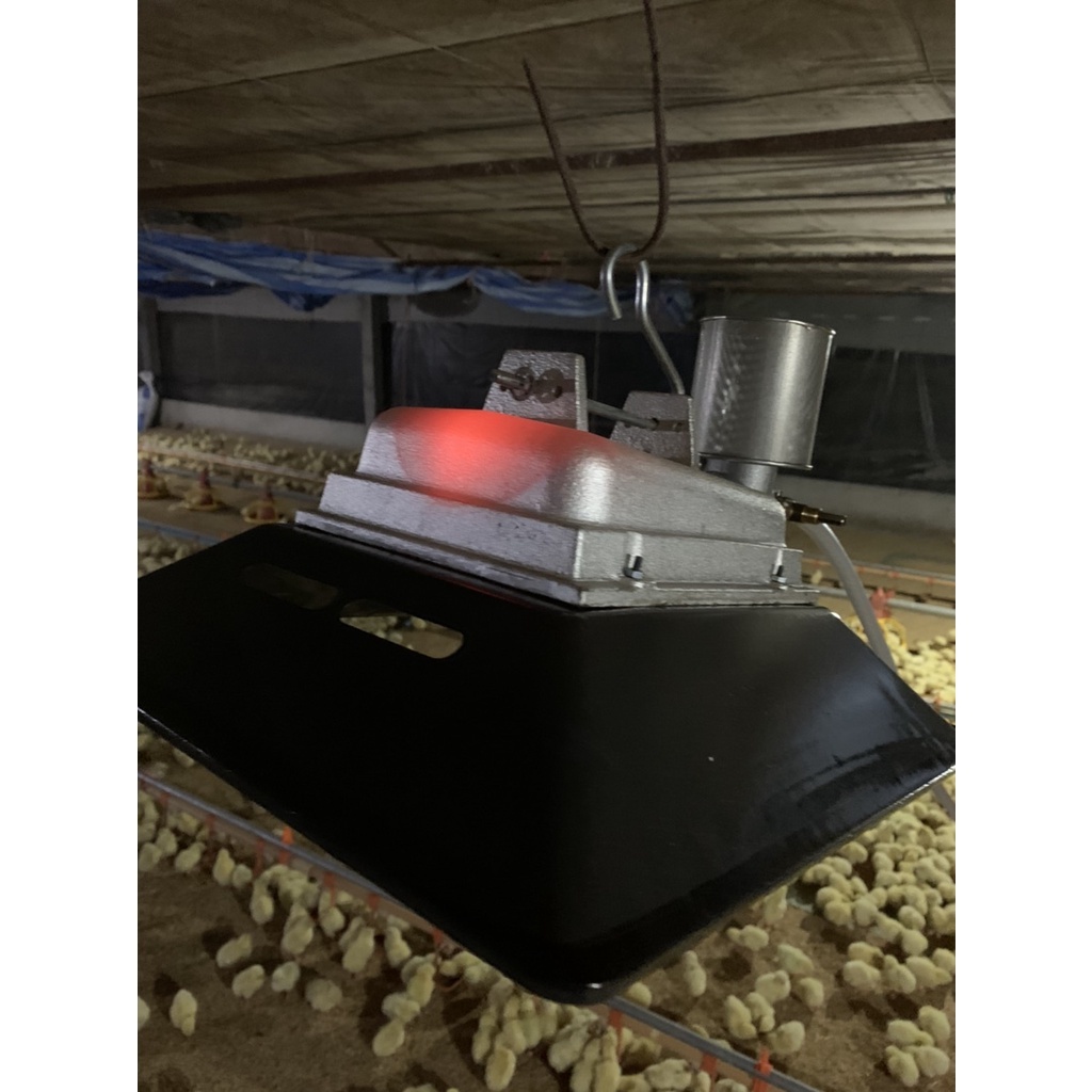 รูปภาพ 3