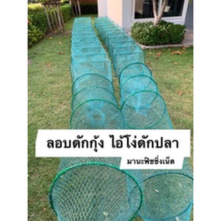 ไอ้โง่ไต้หวัน 🅰️ จับกุ้ง จับปลา 📌ตัวจัมโบ้ใหญ่สุด ยาว 8 เมตร