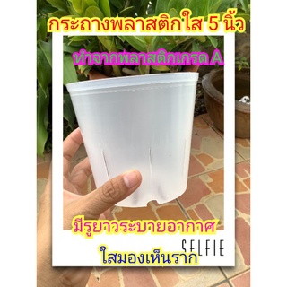 กระถางพลาสติกใสมีรูระบาย ขนาด 5 นิ้ว (ใบละ 20 บาท) แพ็ค 3 ใบ 52 บาท