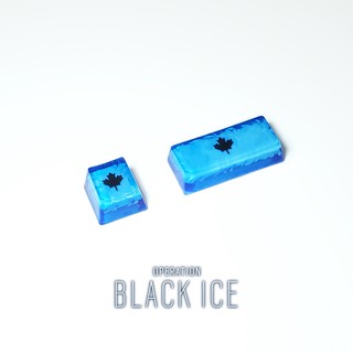 Black Ice Resin Keycap ปุ่มคีย์บอร์ด Rainbow Six Siege