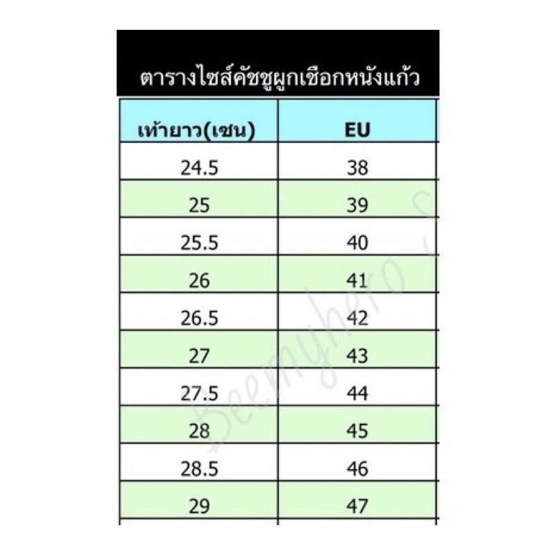 รูปภาพ 8