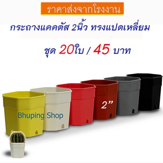 กระถางแคคตัส กระถางแปดเหลี่ยม ขนาด 2 นิ้ว  (ชุด 20 ใบ)  กระถางพลาสติกเกรด A หนา ทนทาน สีสันสวยงาม