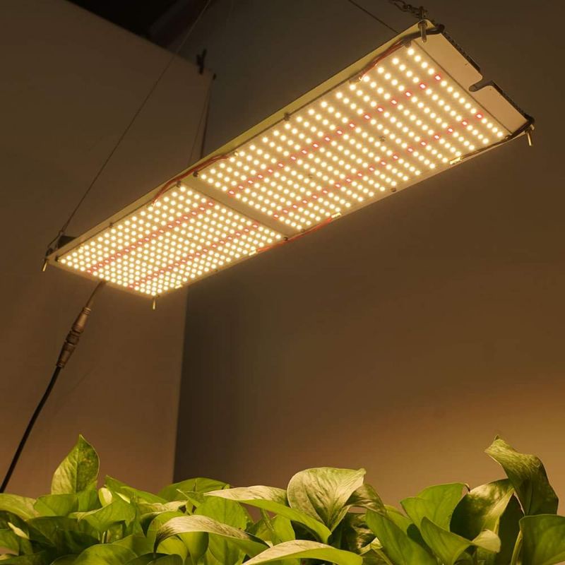 grow light DragonDot240+