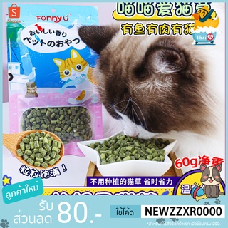 Thai.th ขนมหญ้าแมว ขนมแมว เม็ดหญ้าแมวพร้อมรับประทาน สินค้ามีพร้อมส่ง (Cat Nip) FunnyU