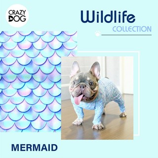 ชุดเก็บขนCrazydog Mermaid indy