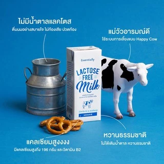 [24 กล่อง/ลัง] Essentially Lactose Free Milk Low Fat นม UHT ปราศจากน้ำตาลแลคโตส ไขมันต่ำ นมกล่อง แลคโตสฟรี นมโคแท้ 180มล