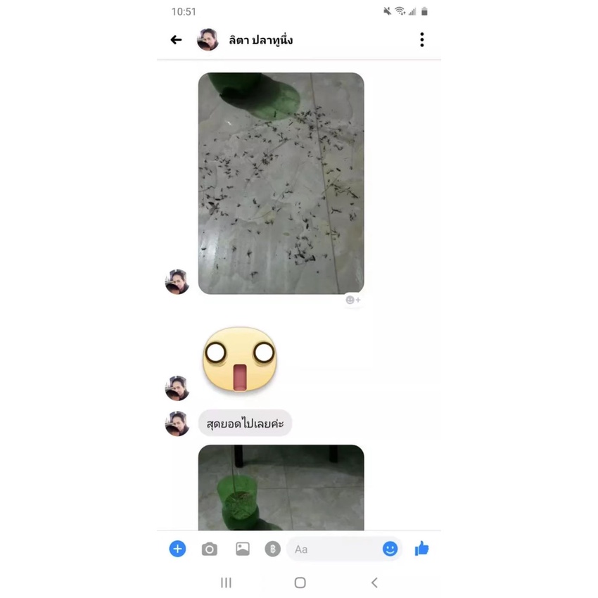 ธูปสมุนไพรยุงธูปกำจัดยุง 1 ห่อมี 5 แพ็ค 1 แพ็คมี 30 ก้าน - รูปที่ 5