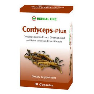 **บำรุงร่างกาย ผลิต02/19** Herbal One Cordyceps - plus 30 แคปซูล ตังถั่งเฉ้า พลัส จินเสง โสม เห็ดหลินจือ