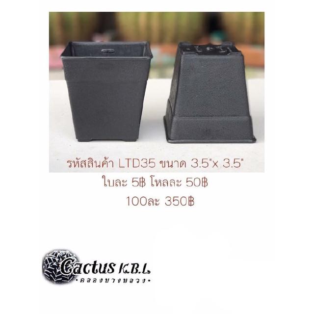 LDT35 กระถางต้นไม้แคคตัส ขนาด 3.5 x 3.5 นิ้ว 1 โหล