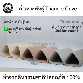 ถ้ำเพาะพันธุ์ Triangle Cave #TR