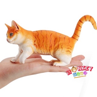 Monkey Toys - โมเดลสัตว์ แมวไทย ทอง ขนาด 17.50 CM (จากหาดใหญ่)