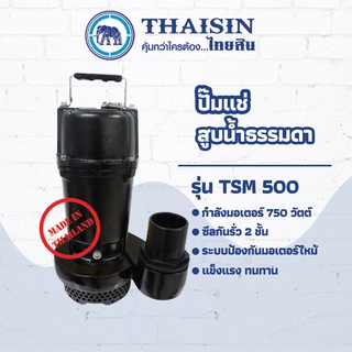 ปั๊มไดโว่ ปั๊มแช่เหล็กหล่อ ขนาด 1 แรง กำลังไฟ 750 วัตต์ ท่อ 2 นิ้ว THAISIN TSM-500 50(2")