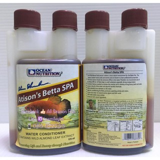 OCEAN NUTRITION &gt; Atisons Betta SPA (ชนิดน้ำ) เป็นน้ำสกัดจากใบหูกวาง