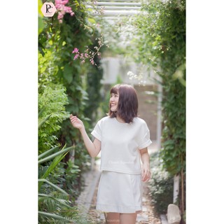 Classicsignature | Jejee Crop Tee |  เสื้อคอกลม แขนพับ