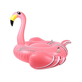 แพยาง Flamingo Big Size V2 ห่วงยาง ฟลามิงโก้ (สีชมพู)