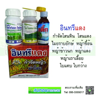 อินทรีแดงฆ่าหญ้าในนา้ข้าว กำจัดโสน หญ้าข้าวนก พ่นได้4ไร่