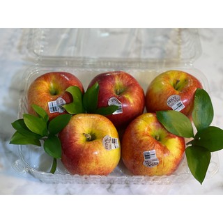 Apple Envy USA แพ็ก 5 ลูก น้ำหนักประมาณ 2.2 กิโลกรัม