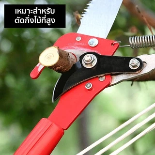 กรรไกรตัดกิ่ง เลื่อยตัดกิ่งที่สูง กรรไกรตัดกิ่งที่สูง แบบเลื่อย เลื่อยตัดกิ่งไม้ (กรรไกร)