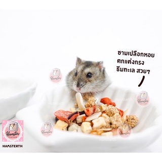 [Hamsterth] ชามหอย ชามดาว เซรามิค ชาม อาหาร ถ้วยอาหาร สำหรับสัตว์เลี้ยง ถ้วย เปลือกหอย แฮมสเตอร์ เม่นแคระ