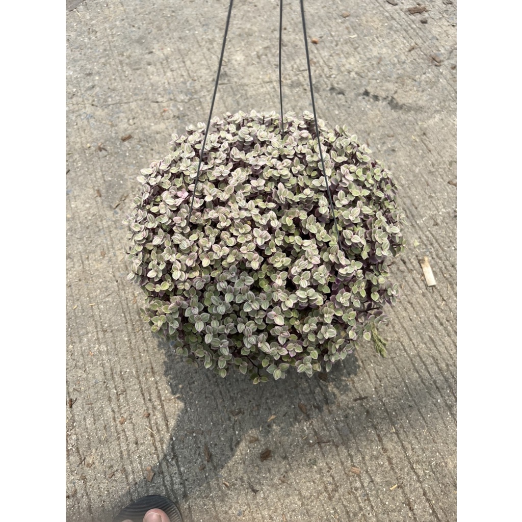 มุมมอง 2