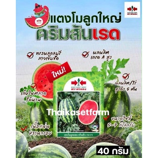 แตงโมคริมสันเรด 40กรัม ศรแดง💥ล้อตใหม่ล่าสุด