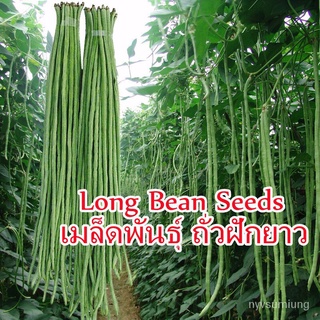 （อัตราการงอก 90%）ผลผลิตสูง เมล็ดพันธุ์ 50เมล็ด เมล็ดพันธุ์ ถั่วฝักยาว Long Bean Seeds ลำน้ำชี/เมล็ด ผัก ปลูก สวนครัว คละ