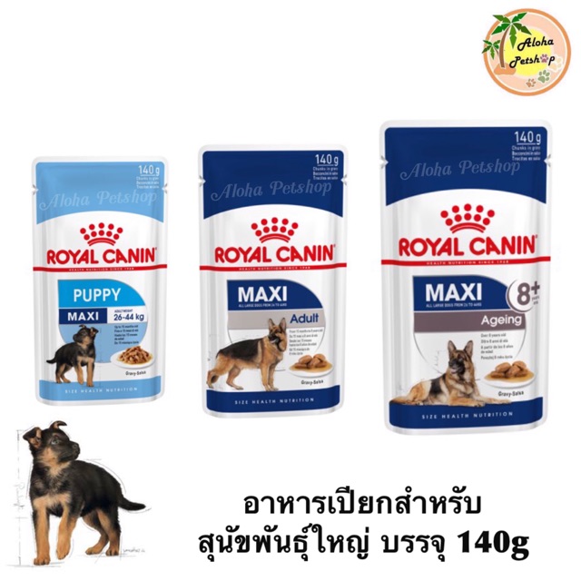 Royal Canin Maxi Dog Pouch🐶โรยัล คานิน อาหารเปียกซองสำหรับสุนัขพันธุ์ใหญ่ทุกสายพันธุ์ บรรจุ 140g