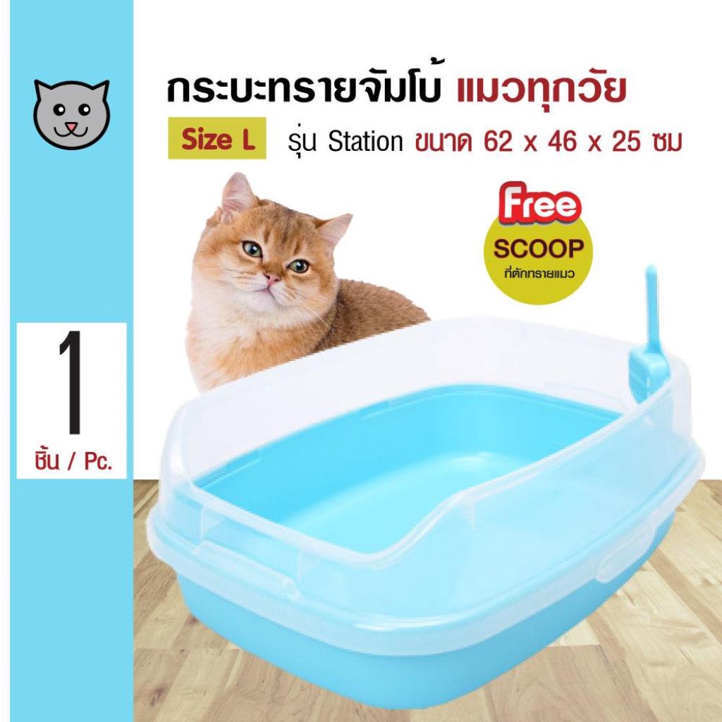 アイテムID:5183228の画像1枚目