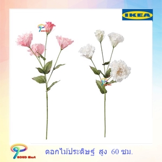 IKEA ต้นไม้ปลอม ไม้ประดิษฐ์ FEJKA เฟคก้า SMYCKA สมึคก้า ดอกไม้ประดิษฐ์, ชมพู, ขาว60 ซม.