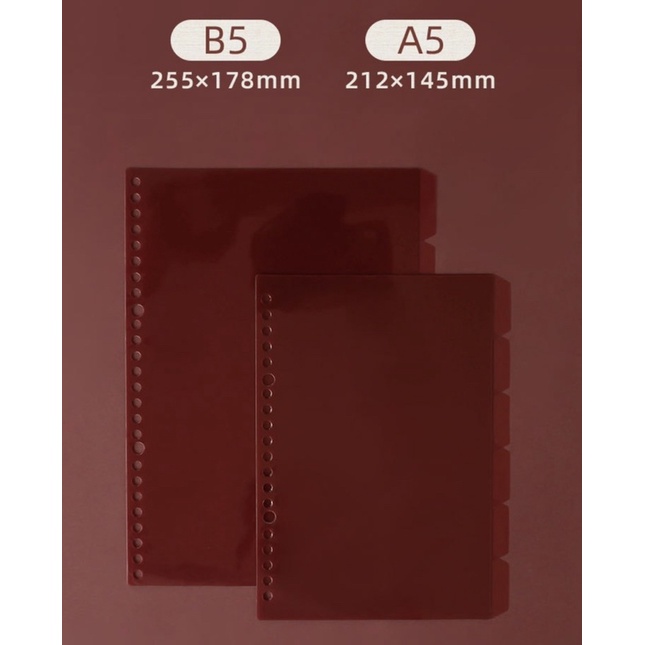 <A5, B5, A4 > แผ่นขั้นใส Parting Sheet 6แผ่น/แพ็ค มี 7 สี สมุด, สมุดโน๊ต, เครื่องเขียน, อุปกรณ์การเรียน, กระดาษรีฟิว - รูปที่ 4