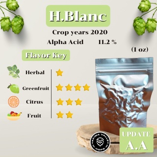 Hallertau Blanc (1oz)  Crop years 2020 (บรรจุด้วยระบบสูญญากาศ)