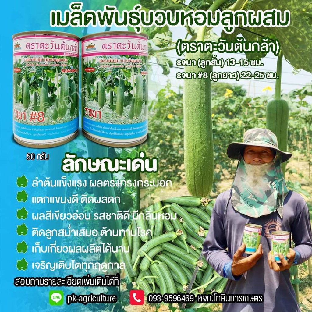 เมล็ดพันธุ์บวบหอม รจนา ขนาด 50 กรัม