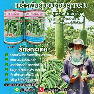 เมล็ดพันธุ์บวบหอม รจนา ขนาด 50 กรัม