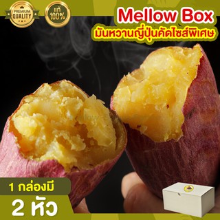 มันหวานญี่ปุ่น เบนิฮารุกะ 2 หัว Mellow Box มันหวาน มันหวานญี่ปุ่นแท้ มันญี่ปุ่น มันเทศ มันเทศญี่ปุ่น เบนิฮารุกะ