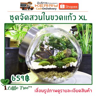 ชุดจัดสวนในขวดแก้ว DIY ไซต์ XL ขวดตั้งเอียง