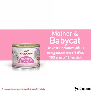 Royal Canin Mother&amp;Baby Cat กระป๋อง 195gX12กระป๋อง