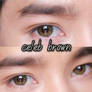 คอนแทคเลนส์ Celeb Brown/Gray