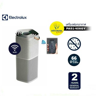 ELECTROLUX เครื่องฟอกอากาศ รุ่น PA91-406GY