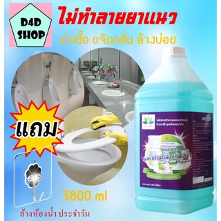 น้ำยาล้างห้องน้ำ สูตรล้างบ่อย 3,800 ml สะอาด ขจัดคราบ  ไม่ทำลายพื้นผิว+ แถมตะขอ Daily Toilet cleaner ล้างห้องน้ำ