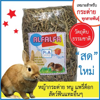 หญ้ากระต่ายอัลฟาฟ่า_ขนาดห่อเล็ก / สำหรับสัตว์ฟันแทะทุกชนิด /สดใหม่100%