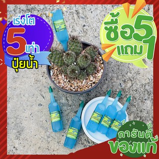 5 แถม 1🌵 ปุ๋ยน้ำไฮโดร เร่งโต 5 เท่า 🌵อาหารเสริมพืช สีฟ้า เร่งราก เร่งโต ฟื้นฟูต้นโทรม เหี่ยวเฉาให้ฟื้นตัวเร็ว