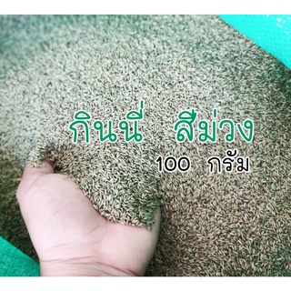 กินนีสีม่วง เมล็ดพันธุ์หญ้าเลี้ยงสัตว์ ขนาด 100 กรัม